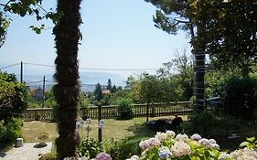 Linus Appartamenti By Breathe Liguria